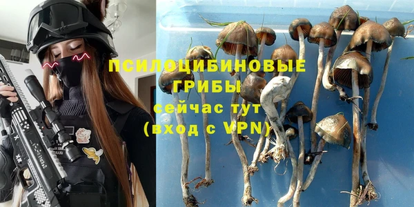 экстази Алексин