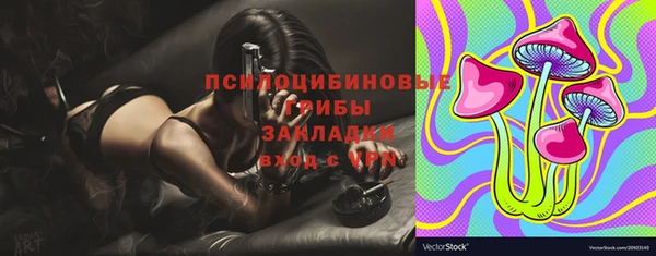 экстази Алексин