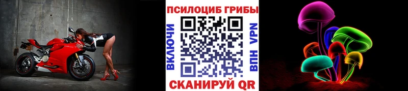 купить  цена  площадка официальный сайт  Псилоцибиновые грибы мицелий  Ярцево 